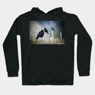 Birds  / Swiss Artwork Photography Hoodie